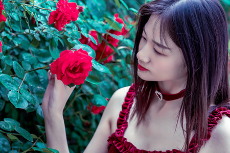 跨越海峡的寻亲路：“何仙姑”助力两岸家庭圆梦